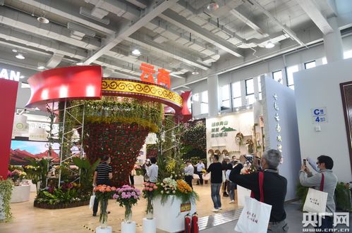 花博盛宴，史无前例