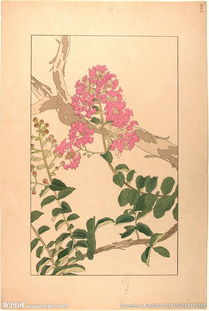 手绘自然 诗意盎然