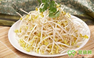 黄豆芽和绿豆芽营养价值丰富，富含蛋白质、维生素和矿物质