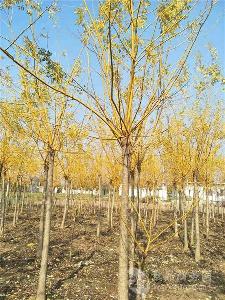 未来几年会有怎样的变化？