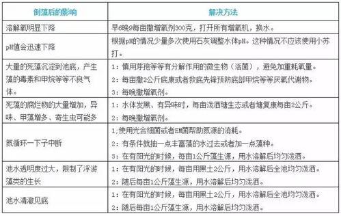 养鱼日记：除藻剂助力水质净化
