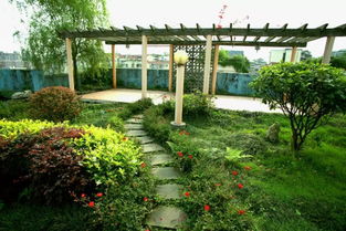 植物搭配要讲究