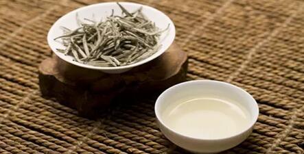 如何挑选顶级茶叶？揭秘上等茶籽的购买秘籍！