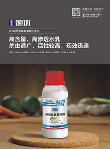 先说说 咱们得认识一下这两个“小伙伴”