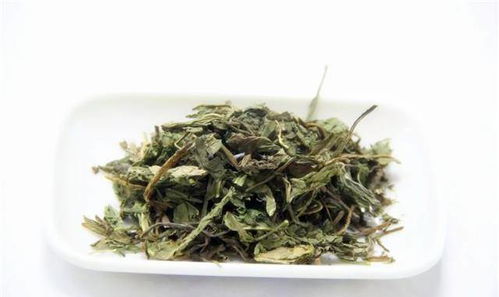 蒲公英晒干泡水喝有禁忌吗？如何食用效果最佳