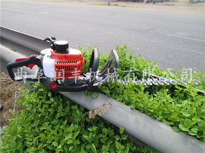 绿化带树木和乡村道路护栏的价格，你关心吗？