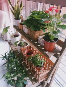 实木材料：经典之选， 自然气息