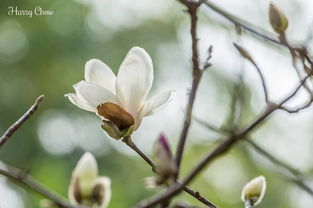 冬季防寒， 我有妙招