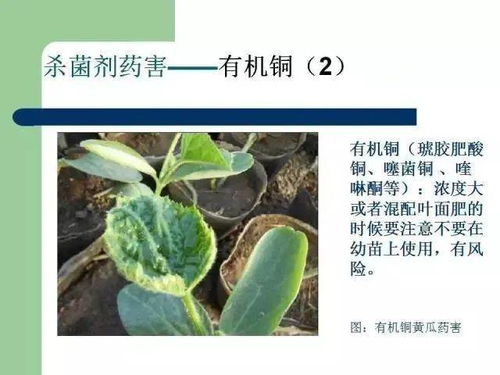 使用方法， 你得知道