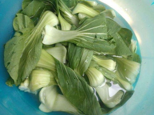 清水浸泡：简单又方便