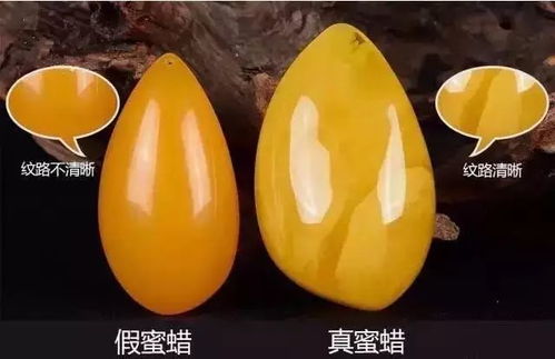 元宝枫种子的真假识别，你真的懂吗？