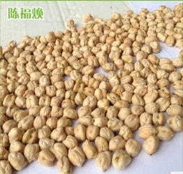 安徽野生茶油子价格一览：一斤多少钱？