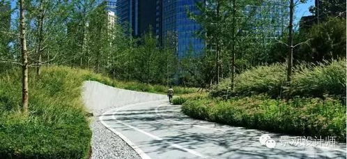 园林设计中的新宠——观赏草