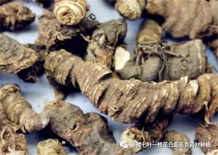 重楼种子的价格：高， 但不是唯一