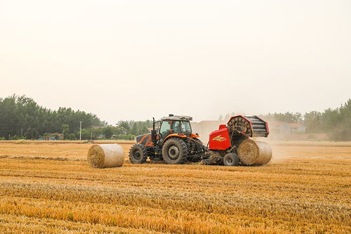 打造绿色生态 实现花卉秸秆高效利用