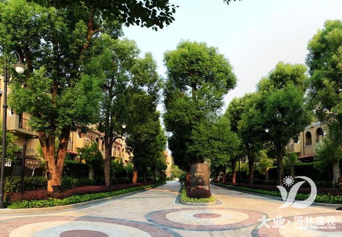 小区园林绿化养护， 四季调养之道