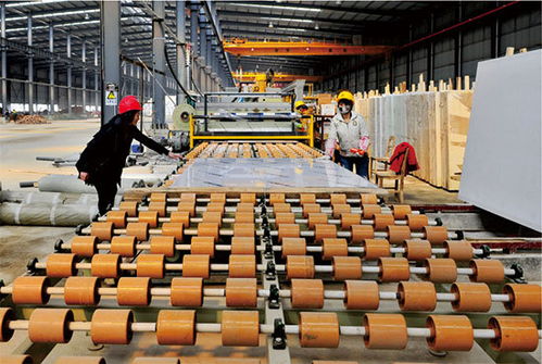 贺州花卉业：沼气池普及率领跑全区，绿色种植引领新风向