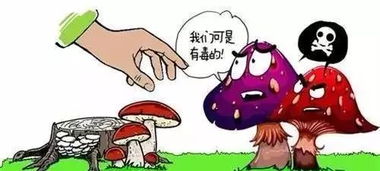 第一步：冷静下来