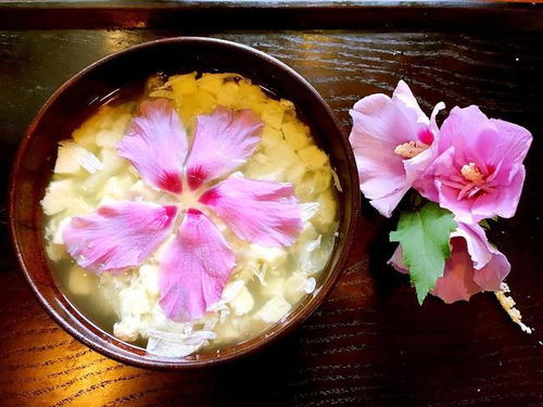 盐水浴：水与盐的交融， 驱虫又固色