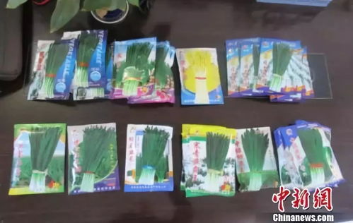 测密度：农户避免7万元损失的小技巧