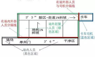 如何Zuo到猪场生物安全全流程管理细节到位，确保非瘟不进门？
