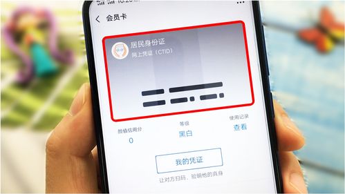 龙须兰图片哪里找？教你一招轻松找到高清美图