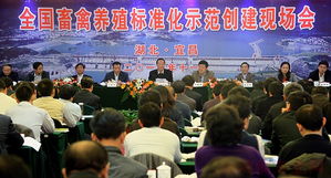 高鸿宾强调：持续强化畜禽规模养殖标准化