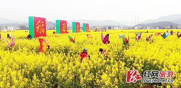 稻田里的花花世界