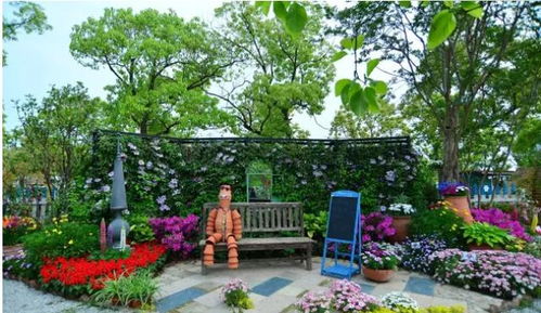 它和园艺、绿化、装饰行业有关系吗？