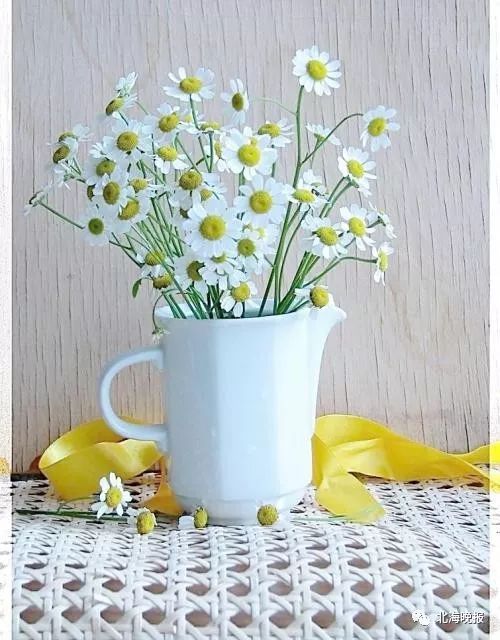 各色花坊地址大汇总