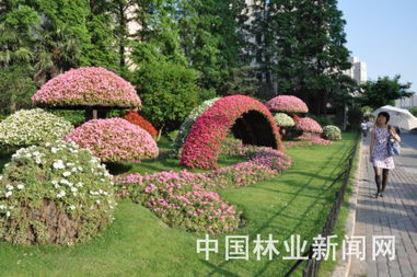 立体绿化的常见形式