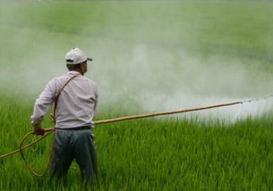 送嫁药， 秧苗的“保镖”