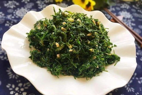 荠菜有哪些神奇功效？哪些人不宜食用