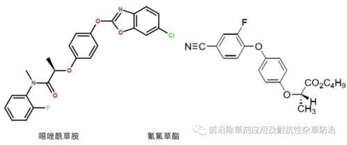 恶唑酰草胺：能除哪些杂草？
