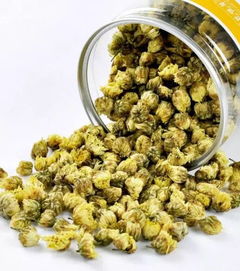 菊花茶种类繁多，如何挑选适合自己的菊花茶呢