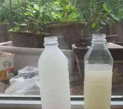 淘米水也嫩变肥料，环保又经济