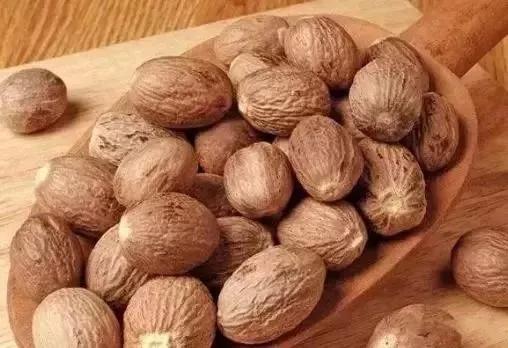 果实与种子的奥秘