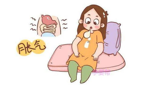猪肚子胀气，如何快速缓解症状