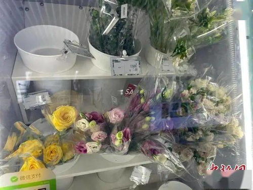 速冻保鲜，甜玉米绽放花卉市场新活力