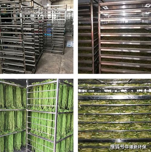 不同烘干设备对温度的要求