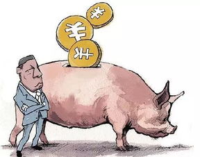 生猪阉割需谨慎，确保动物福利与安全