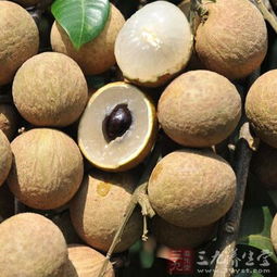 桂圆禁忌全攻略：如何正确食用与避免不适？