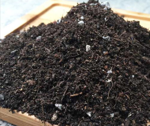 松针土的制作方法