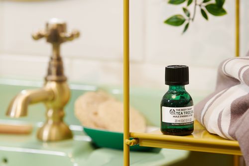 上海哪里可以买到the body shop茶树油遮瑕膏？