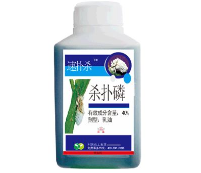 替代品的选择：平安第一