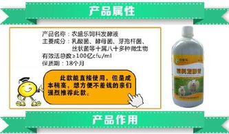 发酵液喂猪有哪些显著营养和健康益处？