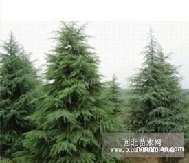 惠农网， 商机无限