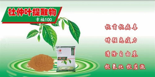 农业养殖需关注：品种选择、饲料安全、疫病防控