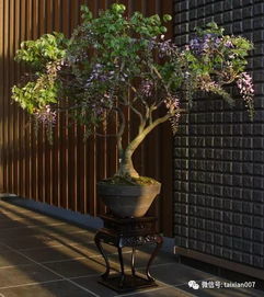 防寒工作，不可少