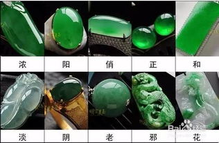 适度“虐待”生机勃勃